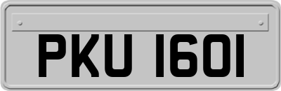 PKU1601