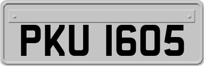 PKU1605