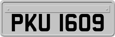 PKU1609
