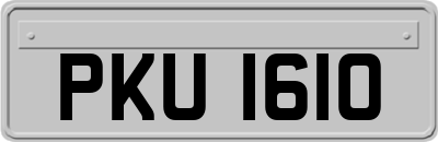 PKU1610