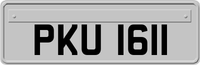 PKU1611