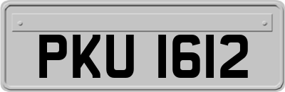 PKU1612