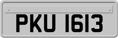 PKU1613