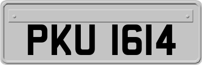 PKU1614