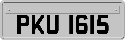 PKU1615