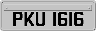 PKU1616