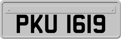 PKU1619
