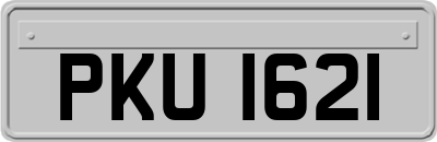 PKU1621
