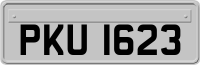 PKU1623