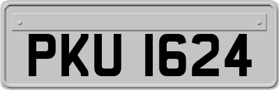 PKU1624
