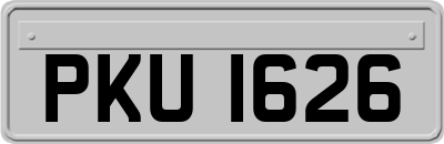 PKU1626