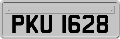 PKU1628
