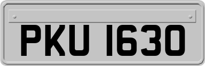 PKU1630