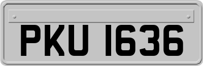 PKU1636