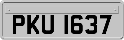 PKU1637