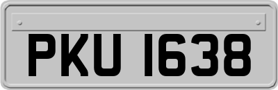 PKU1638