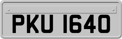 PKU1640
