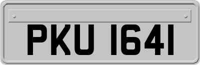 PKU1641