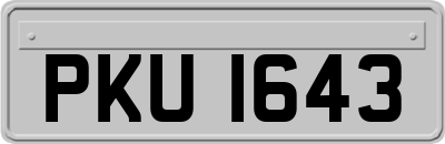 PKU1643