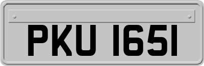 PKU1651