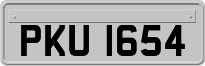PKU1654