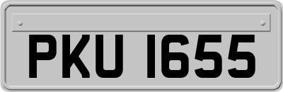 PKU1655