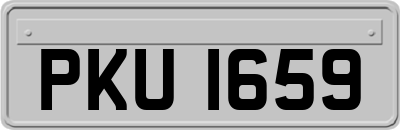 PKU1659