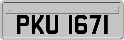 PKU1671