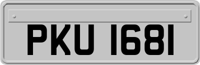 PKU1681