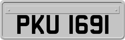 PKU1691