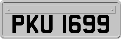 PKU1699
