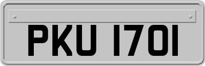 PKU1701