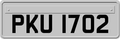 PKU1702