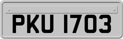 PKU1703