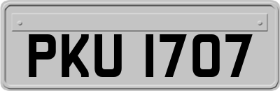 PKU1707