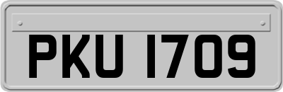 PKU1709