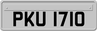 PKU1710