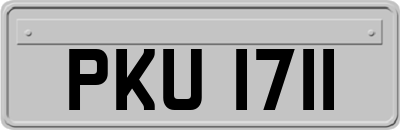 PKU1711