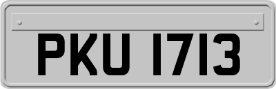 PKU1713