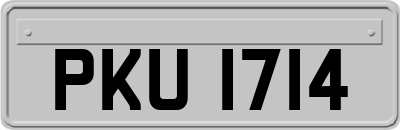 PKU1714