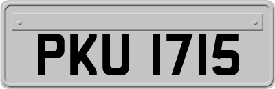 PKU1715