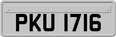 PKU1716