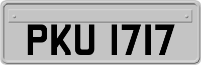 PKU1717