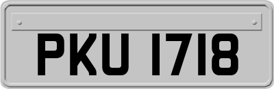 PKU1718