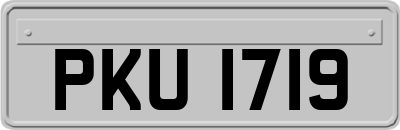 PKU1719