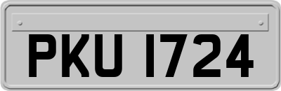 PKU1724
