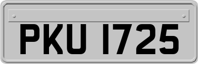 PKU1725