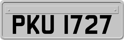 PKU1727