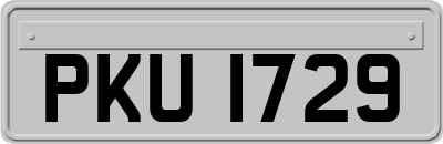 PKU1729