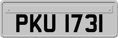 PKU1731